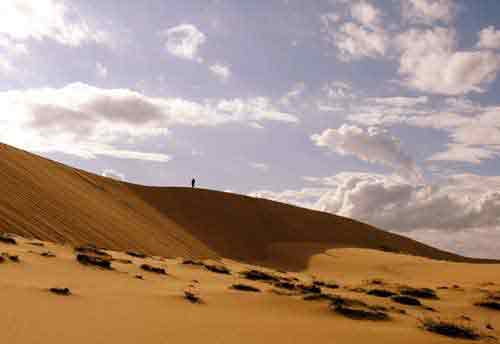 Cồn cát Quảng Bình