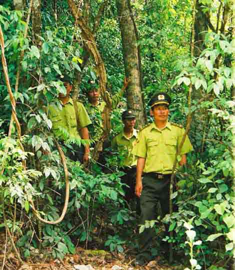 Bảo vệ rừng