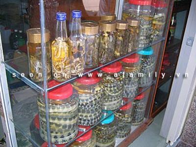 Rượu đẻn